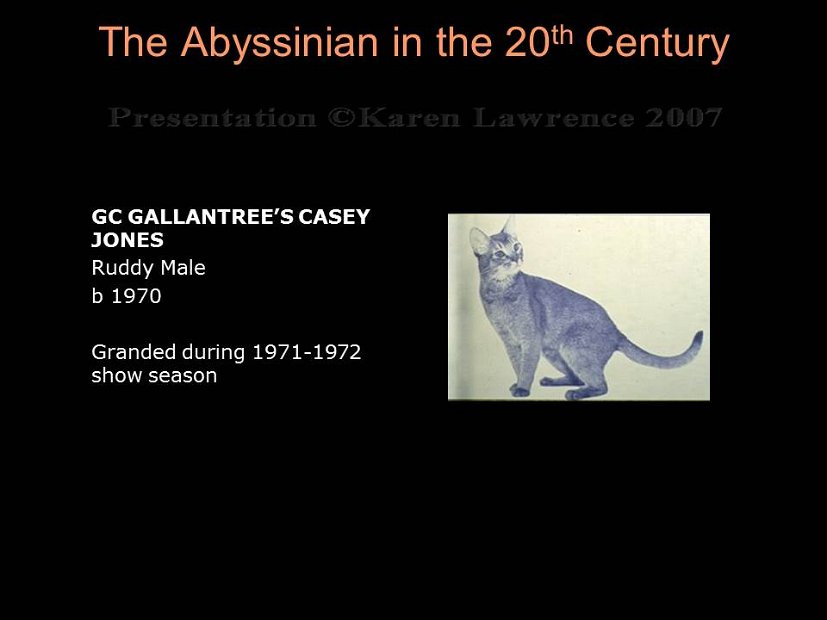 Slide197
