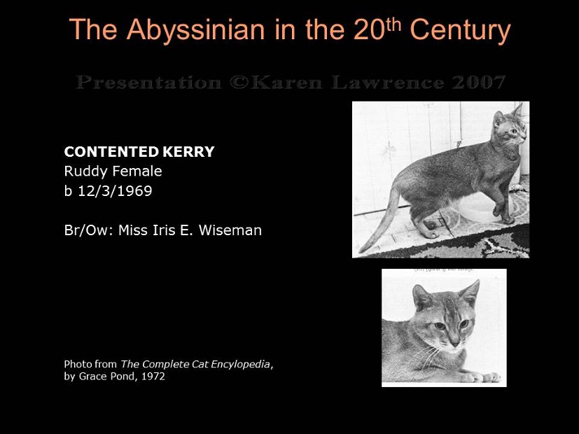 Slide198