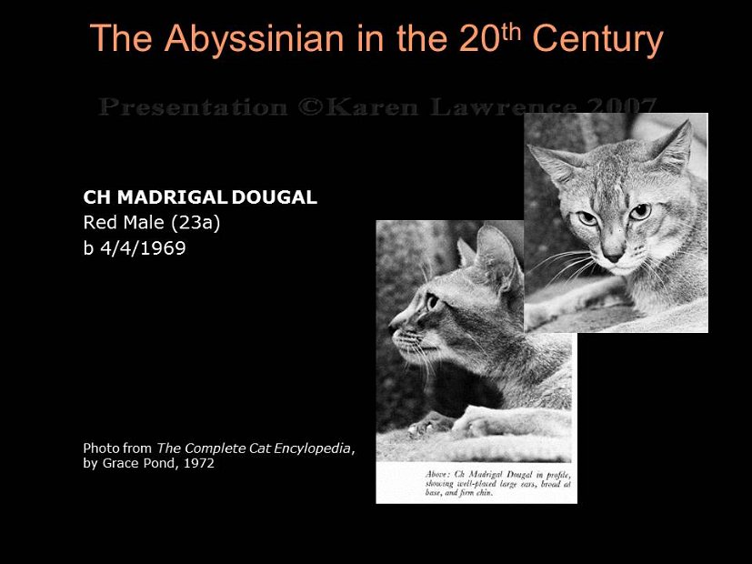 Slide199