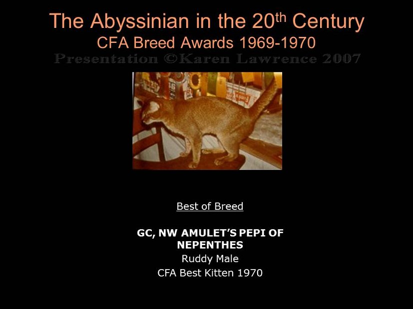Slide202