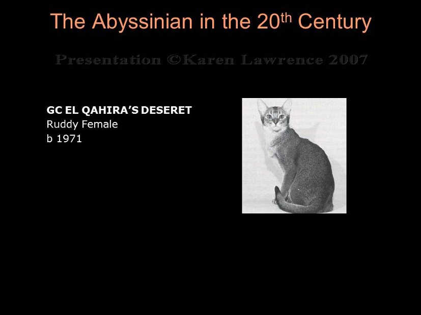 Slide204