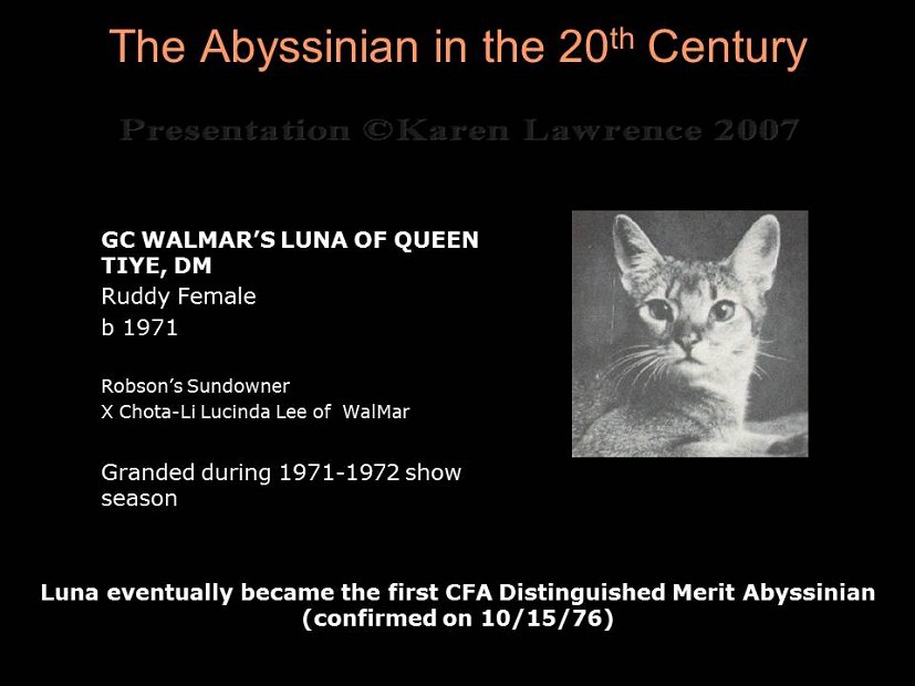 Slide207