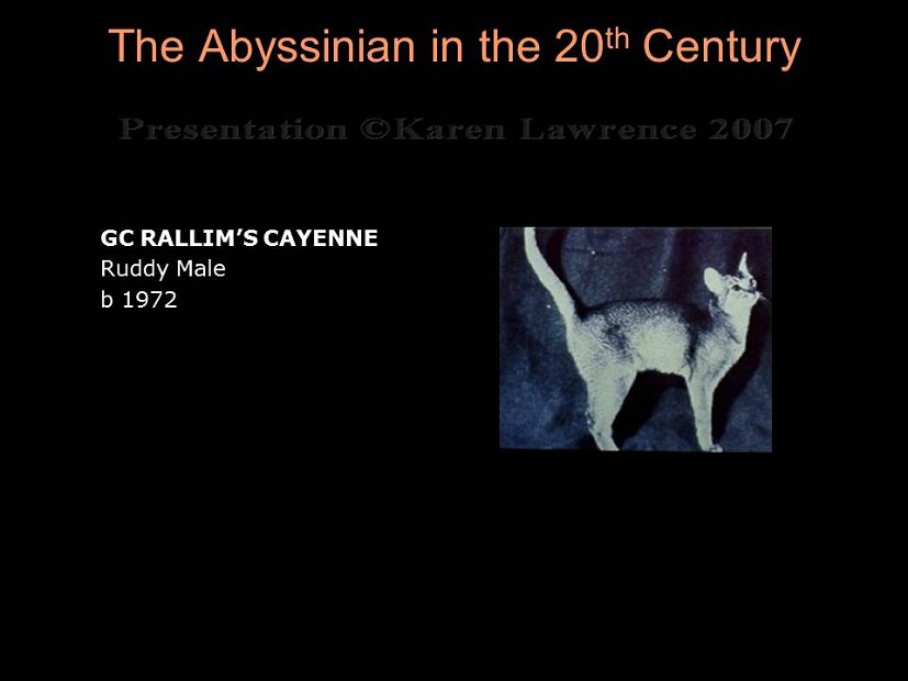 Slide208