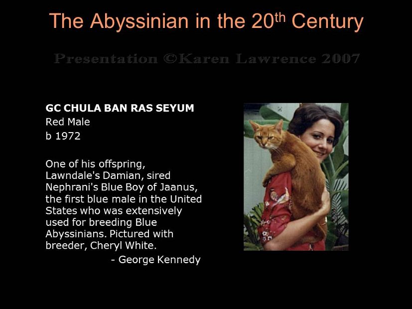 Slide210