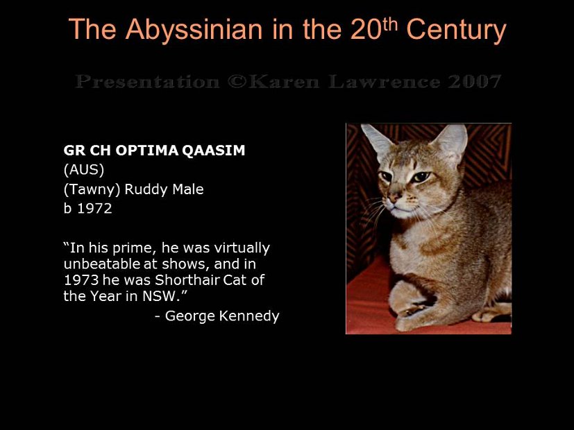 Slide211
