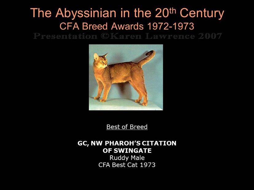 Slide212