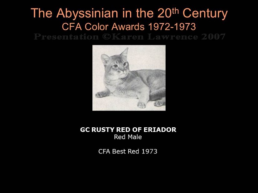 Slide213