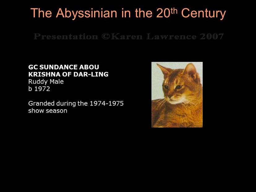 Slide214
