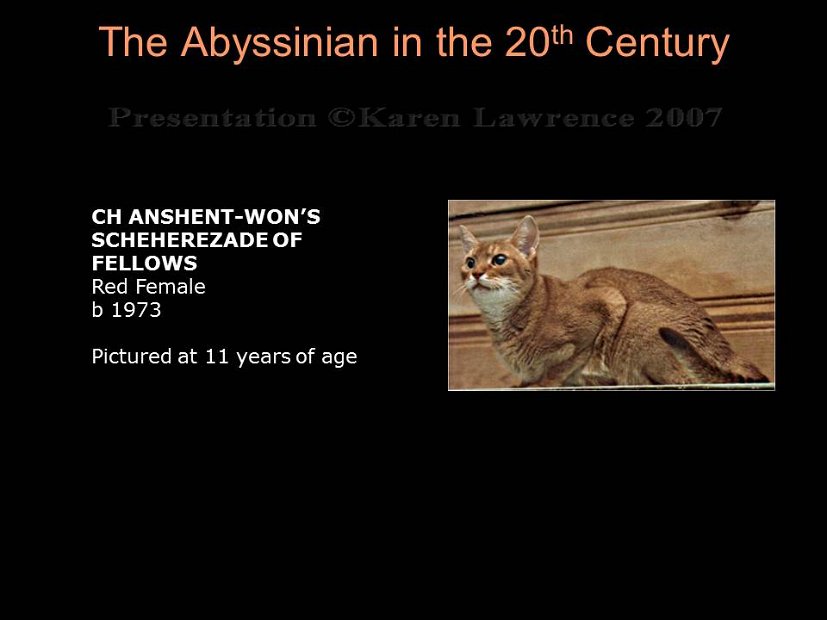 Slide217