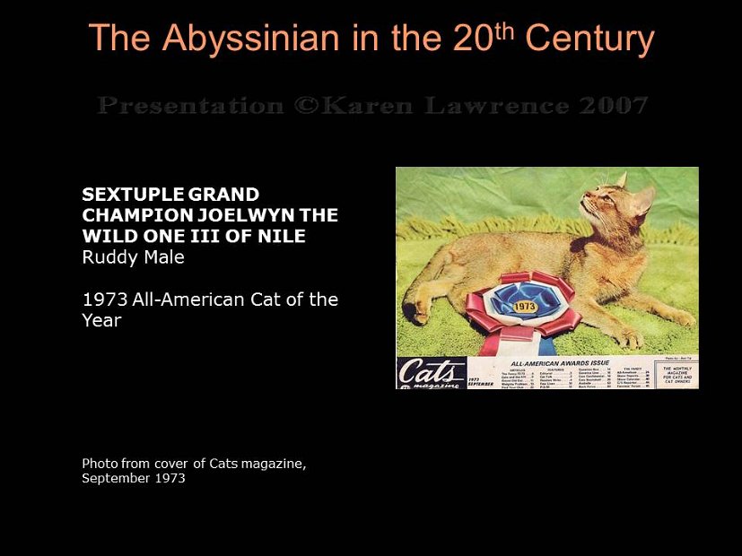 Slide218