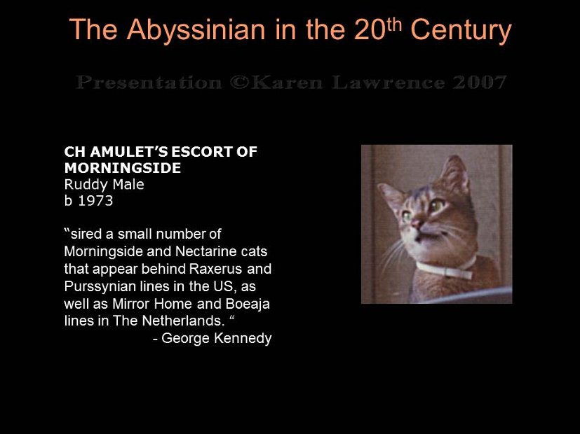 Slide219