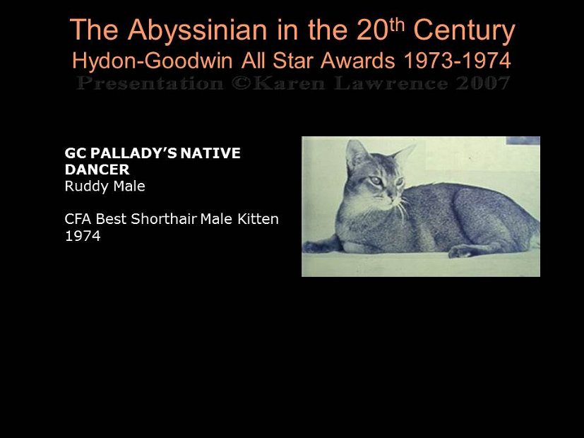 Slide221