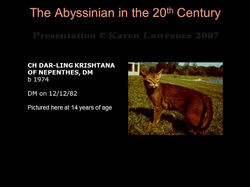 Slide223