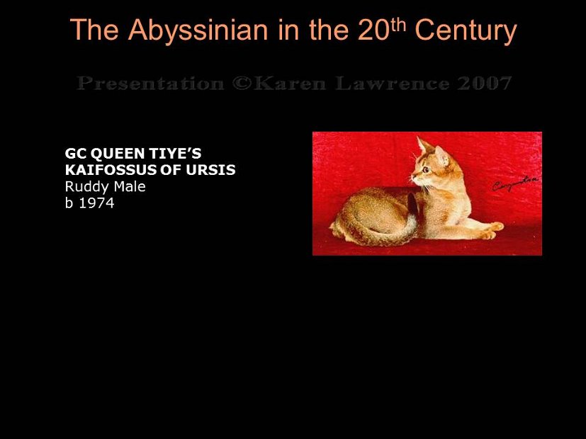 Slide224