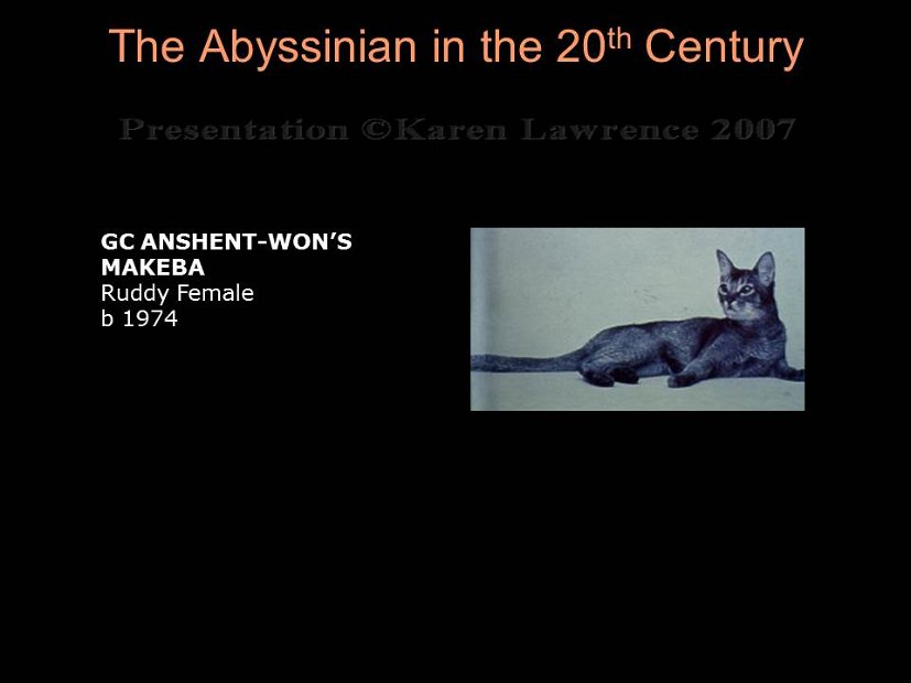 Slide225