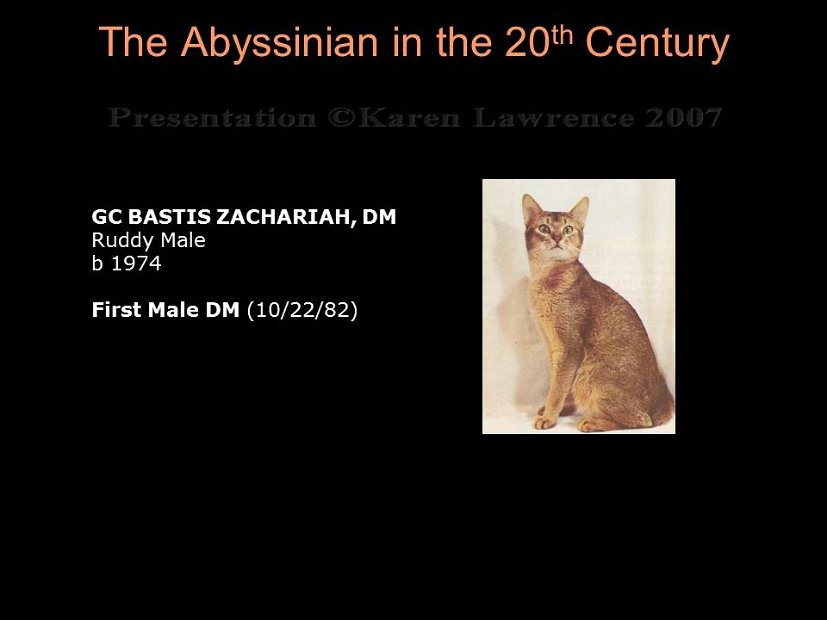 Slide226