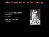 Slide152.JPG