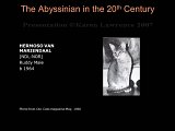 Slide155.JPG