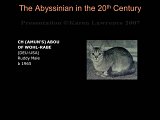 Slide158.JPG