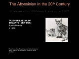 Slide171.JPG