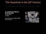 Slide174.JPG