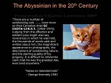 Slide176.JPG