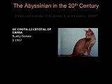 Slide180.JPG