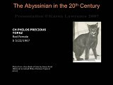 Slide181.JPG