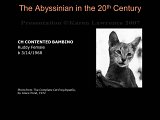 Slide188.JPG