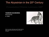 Slide189.JPG