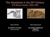 Slide191.JPG