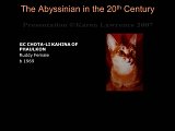 Slide192.JPG