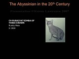 Slide193.JPG