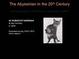 Slide194.JPG