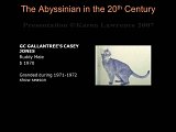 Slide197.JPG