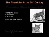 Slide198.JPG