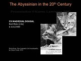Slide199.JPG