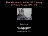Slide206.JPG
