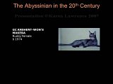 Slide225.JPG
