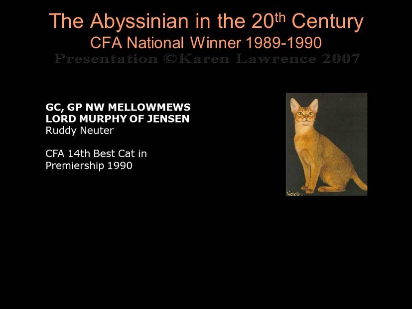 Slide349