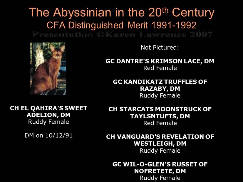 Slide363