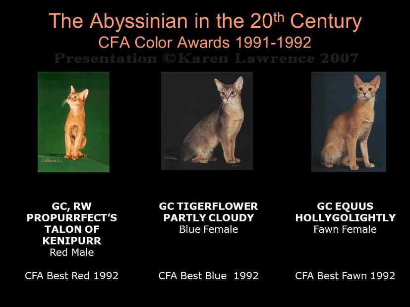 Slide364