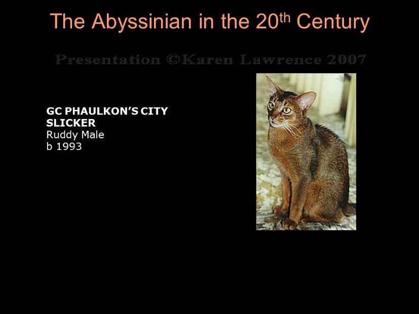 Slide374