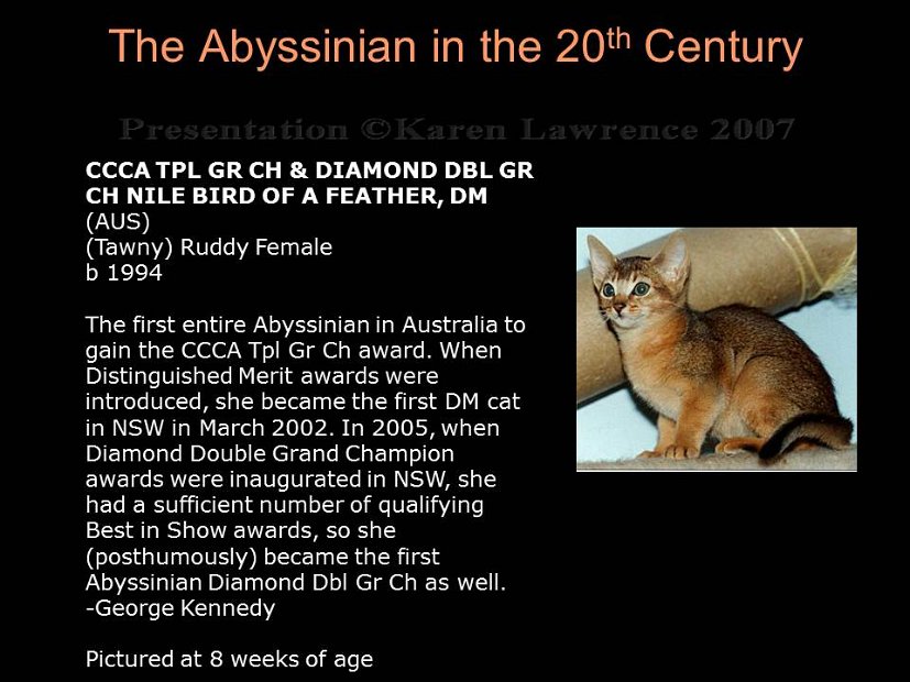 Slide383