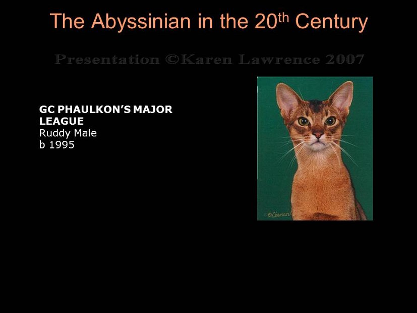 Slide392