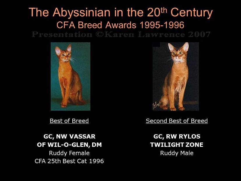 Slide393