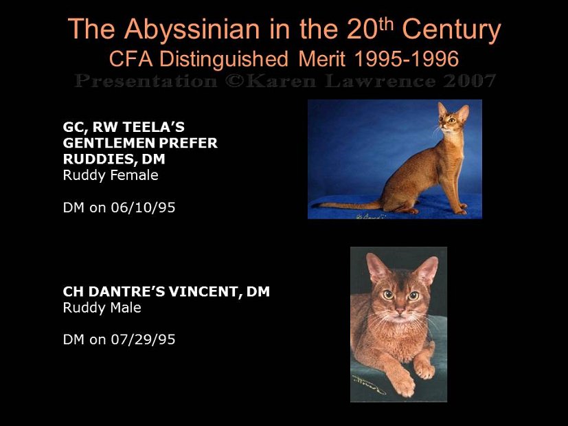 Slide394
