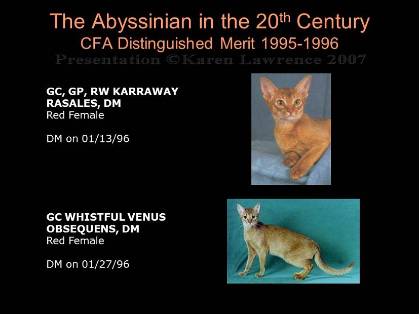 Slide396