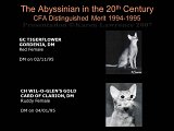 Slide390.JPG