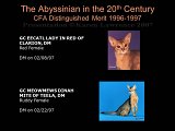 Slide410.JPG